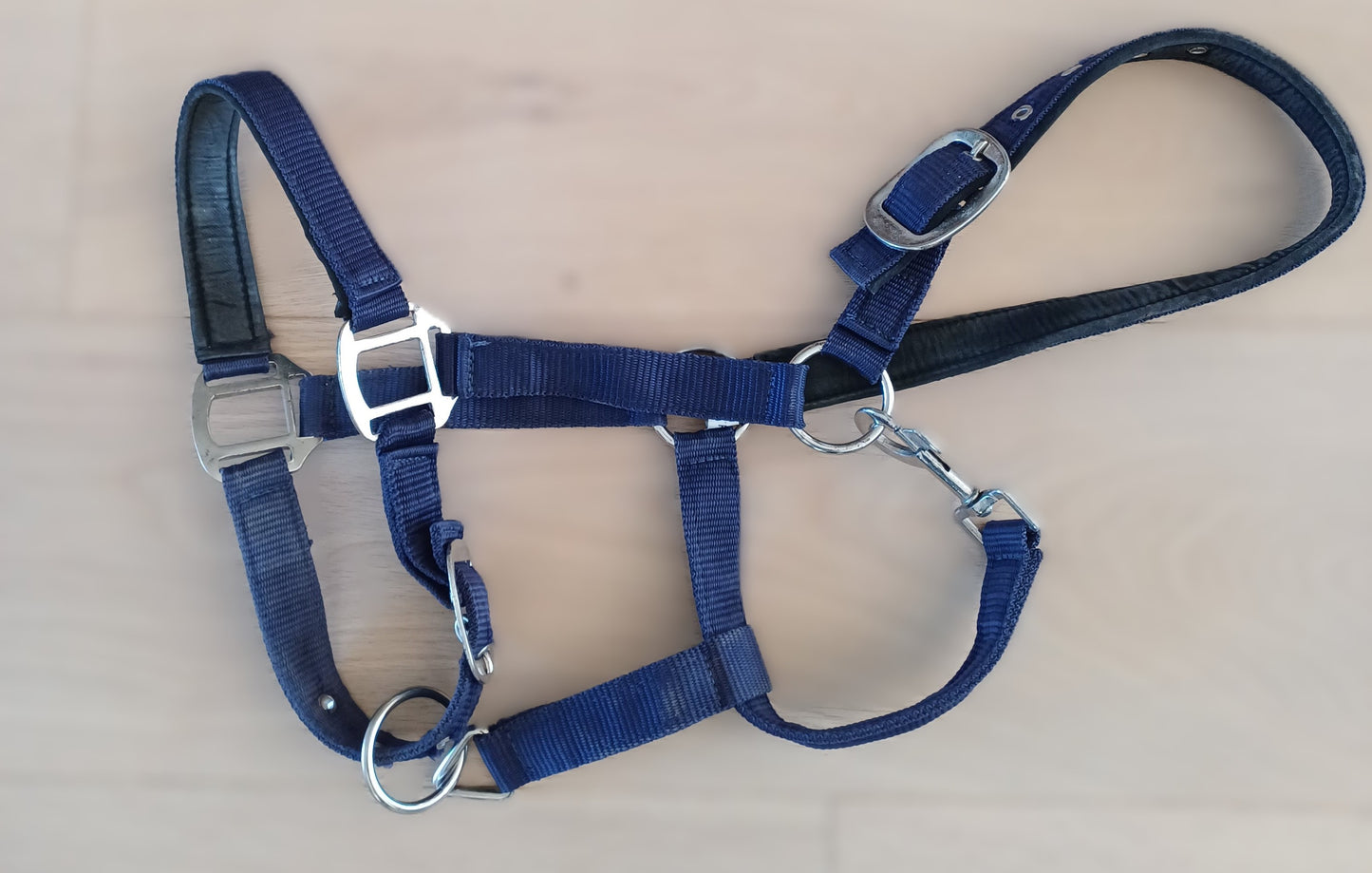 Licol poney marine
