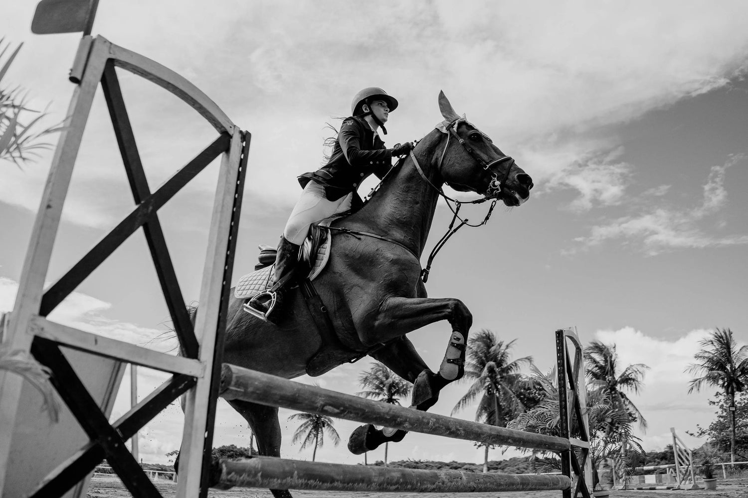 Nouveaux articles pour le cavalier Horse Attitude