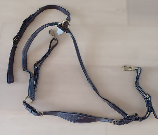 Collier de chasse Dyon Full