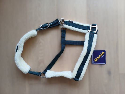 Licol vert /moumoute cob
