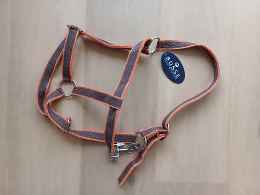 Licol orange et gris full