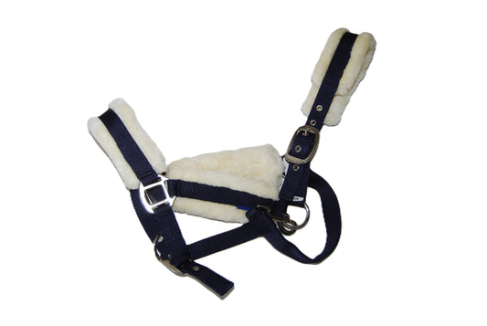 Licol marine/moumoute Cob