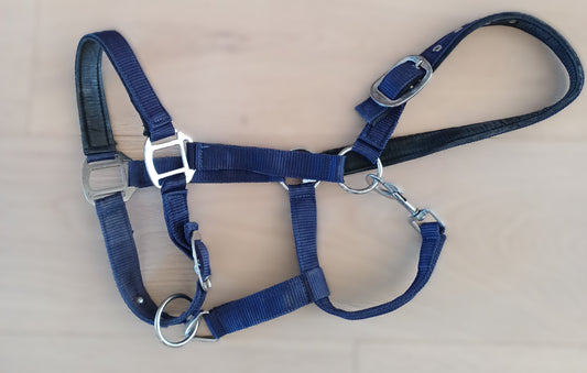 Licol poney marine